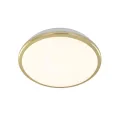 Накладной уличный светильник Citilux CL702162W
