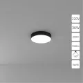 Потолочный светильник Arte Lamp FADO A7335PL-1BK
