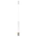 Подвесной светильник LOFT IT 10361D