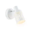 Спот Ambrella Light TR8663