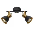 Спот ARTE Lamp A1677PL-2GO