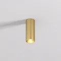 Накладной светильник Denkirs DK2615-SB