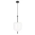 Подвесной светильник LOFT IT 10223/D White