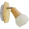 Спот Lussole Lgo LSP-0119