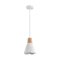 8352/1B LN Подвес E27 60Вт 220В IP20 SUSPENTIONI