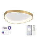 Накладной светильник Citilux CL756A142