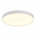 Накладной светильник ST-Luce ST606.532.96