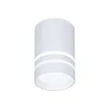 Накладной светильник Ambrella Light TN235