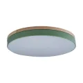 Детский светильник LOFT IT 10001/36 Green