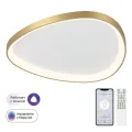 Накладной светильник Citilux CL756A162