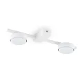 Потолочныйсветильник FR5363CL-02W