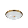 Накладной светильник Odeon Light 4956/4