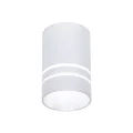 Накладной светильник Ambrella Light TN236