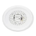 CL751350G BOSS Белый  LED Св-к с пультом