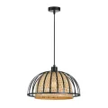 Подвесной светильник Arte Lamp WOODSTOCK A7071SP-1BK