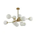 MOD221-PL-12-G