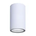 Накладной светильник ARTE Lamp A3302PF-1WH