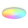 Накладной светильник Ambrella Light FZ2002