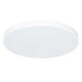 Потолочный светильник Arte Lamp ARENA A2671PL-1WH