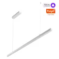 NOVOTECH 359441 OVER NT24 294 белый Светильник подвесной диммир. со сменой цв.темпер. (пульт ДУ/прил