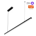 NOVOTECH 359442 OVER NT24 294 черный Светильник подвесной диммир. со сменой цв.темпер. (пульт ДУ/при