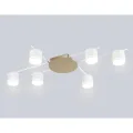 Накладной светильник Ambrella Light FL51755