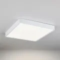 Накладной светильник Elektrostandard DLS034 24W 4200K