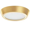 Влагозащищенный светильник Lightstar 214934
