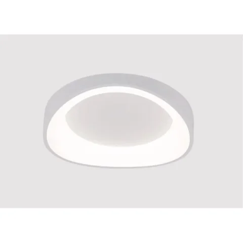Накладной светильник ARTE Lamp A2698PL-48WH