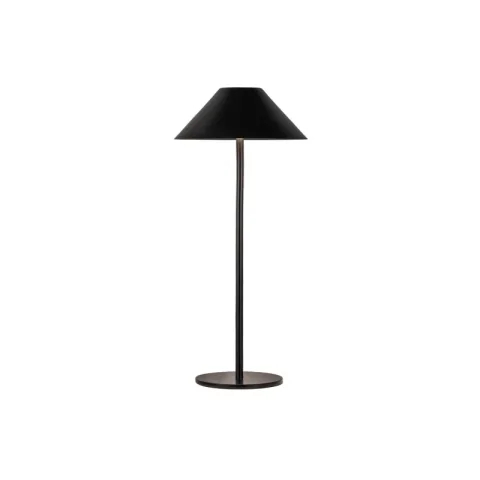 Настольная лампа Kink Light 07210-T,19