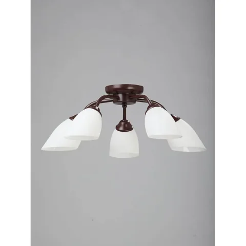 Потолочная люстра Vitaluce V3252/5PL