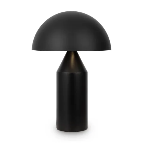 Настольныйсветильник FR5218TL-02B1