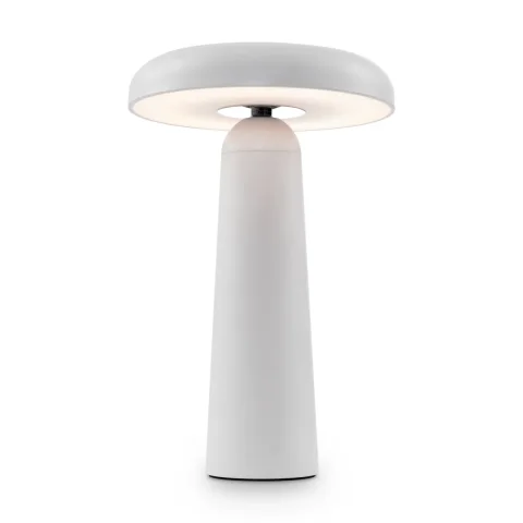 Аккумуляторный светильник FR6109TL-L4W