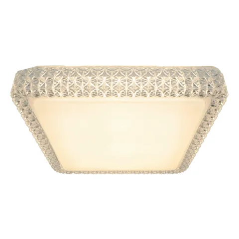 Накладной светильник ARTE Lamp A1570PL-1CL