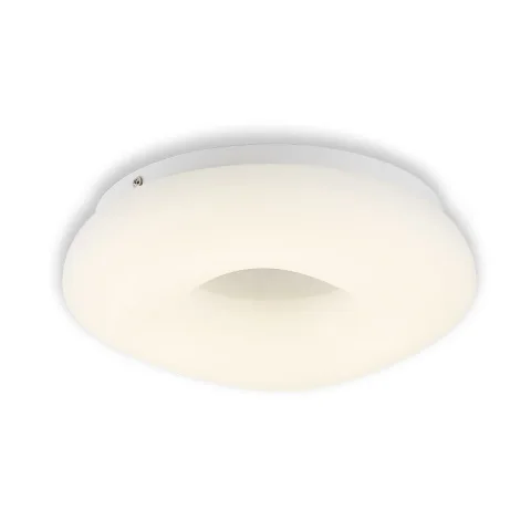 Накладной светильник Citilux CL732280