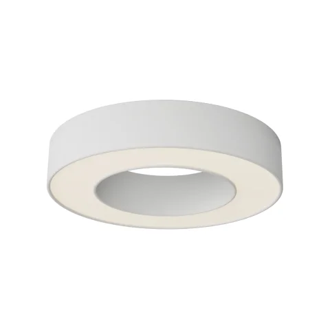 Потолочный светильник Technical C093CL-24W3K-W