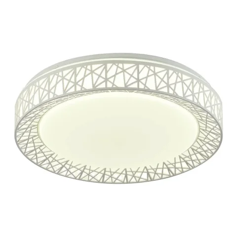Потолочный светодиодный светильник F-Promo Creatura 2314-5C