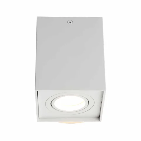 Потолочный светильник Omnilux Feletto OML-101109-01
