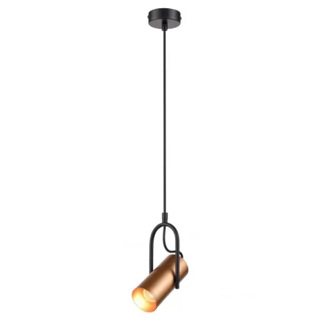 Подвесной светильник Vele Luce VL5804P01