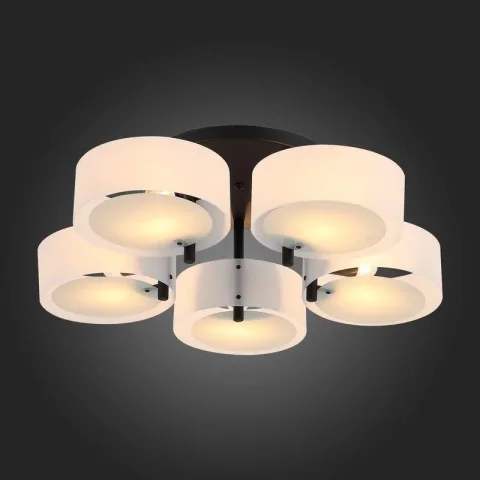 Потолочная люстра ST Luce Foresta  SL483.402.05