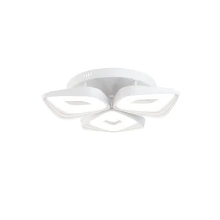 Потолочный светильник FR6008CL-L50W