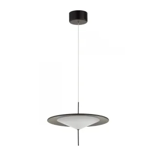 Подвесной светильник Odeon Light 5012/16L