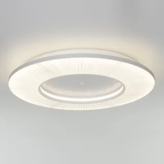 Накладная люстра Eurosvet 101003 LED белый