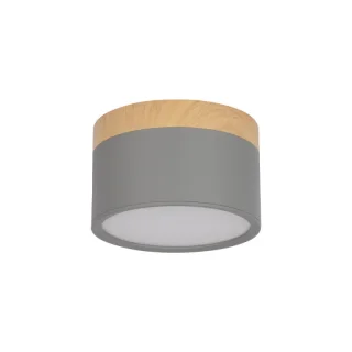 Детский точечный светильник LOFT IT 10162 Grey