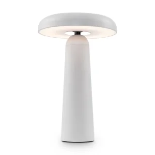 Аккумуляторный светильник FR6109TL-L4W