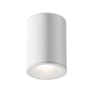 Потолочныйсветильник C029CL-01W