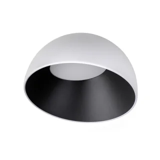 Накладной светильник LOFT IT 10197/350 WB