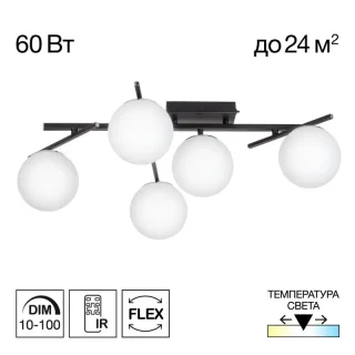 Накладная люстра Citilux CL223152