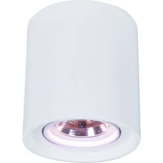 Накладной светильник ARTE Lamp A9262PL-1WH