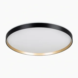 Накладной светильник Citilux CL750501R